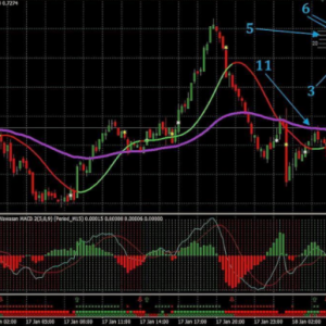 SONAR 2 for binary options