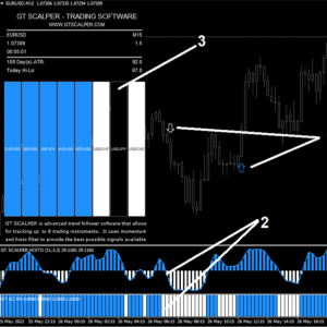 GT Scalper Software