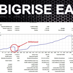 BigRISE EA + source code