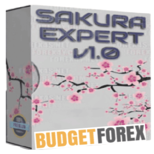 SAKURA EXPERT