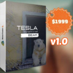 TESLAEASOFT BEAR SYSTEM