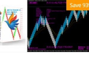 RSI Renko Scalper