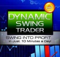 Netpicks Dynamic Swing Trader (MT4) 2019 (latest)